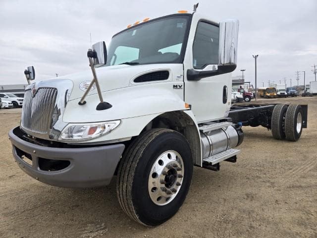 2019 International MV