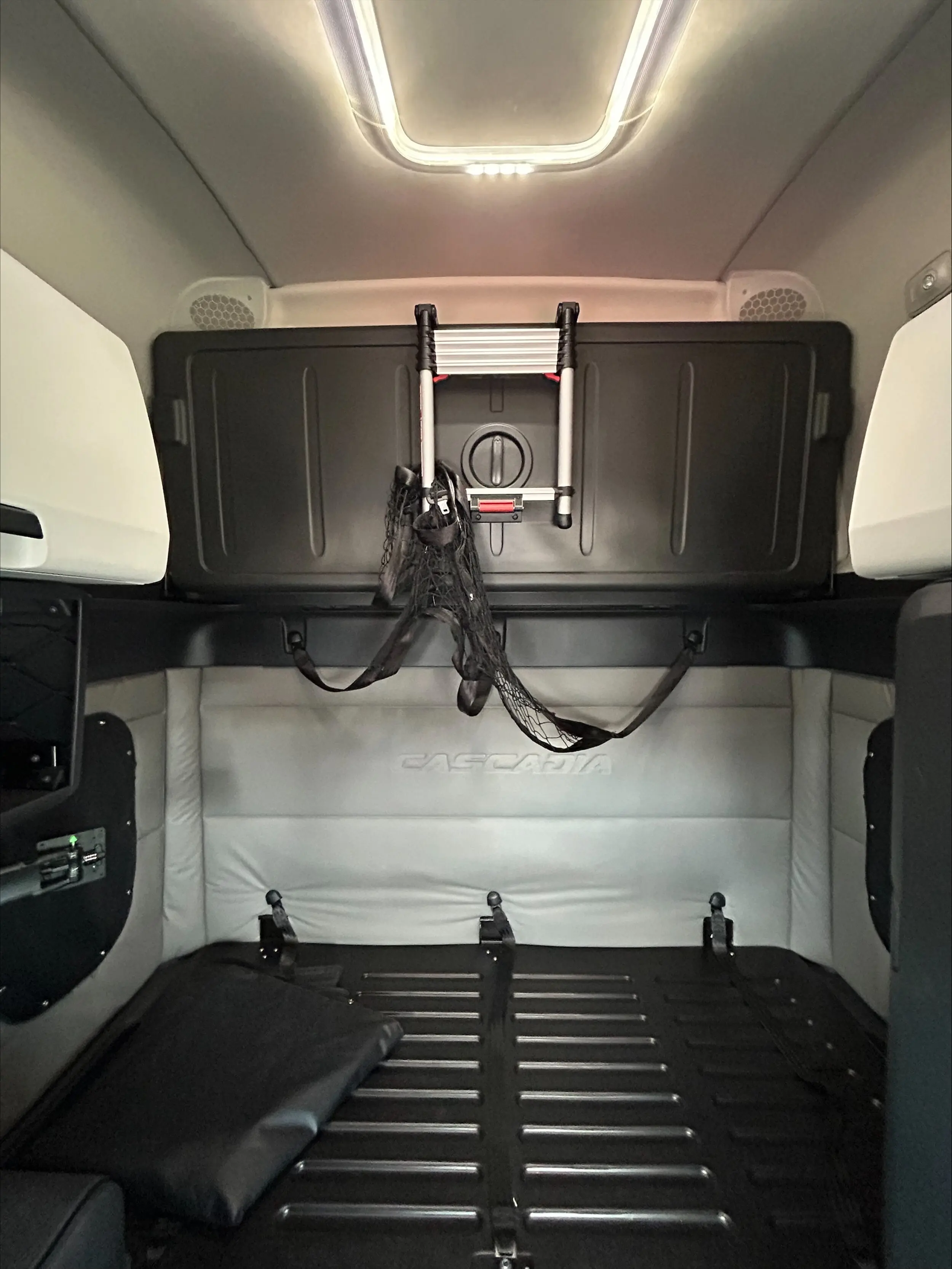 2020 Freightliner Cascadia in Winnipeg, MB — photo 10