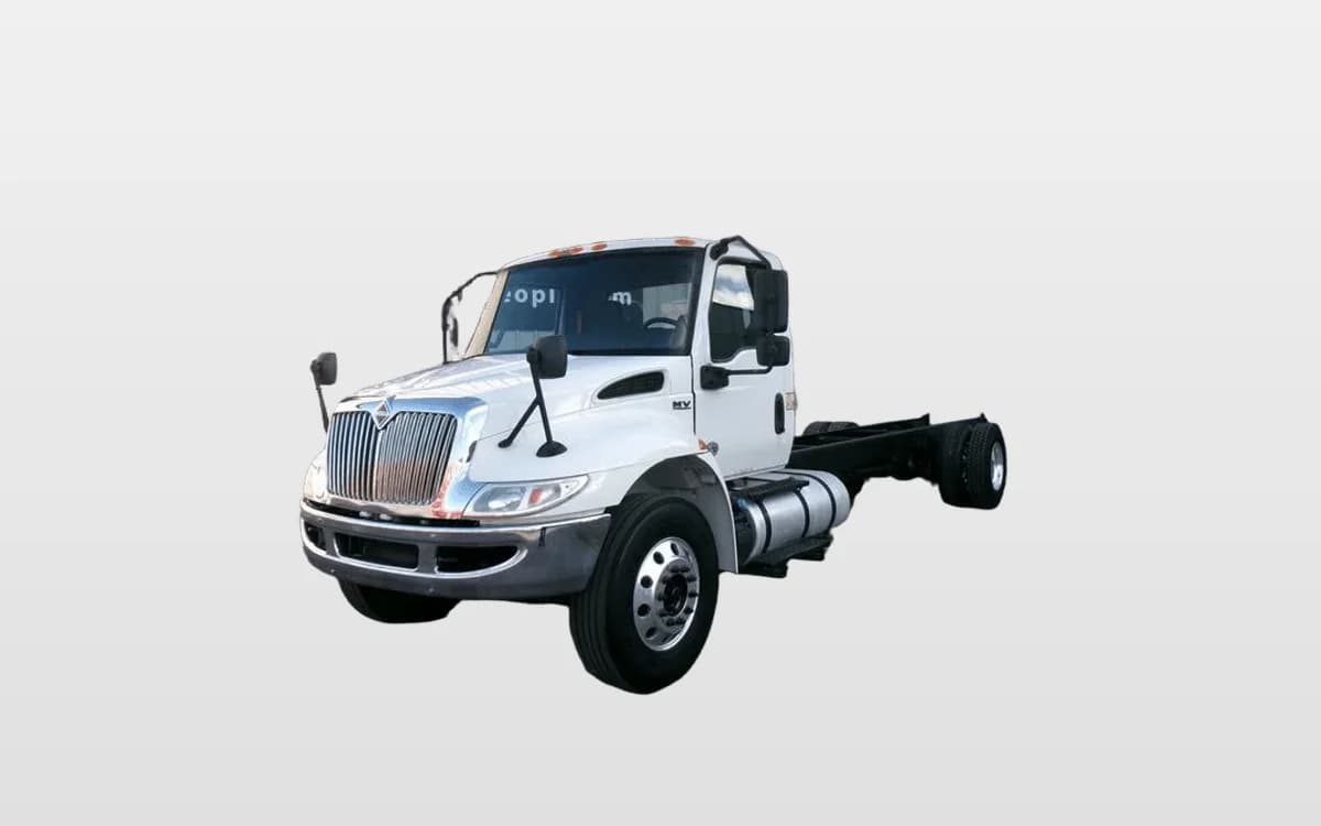 2019 International MV