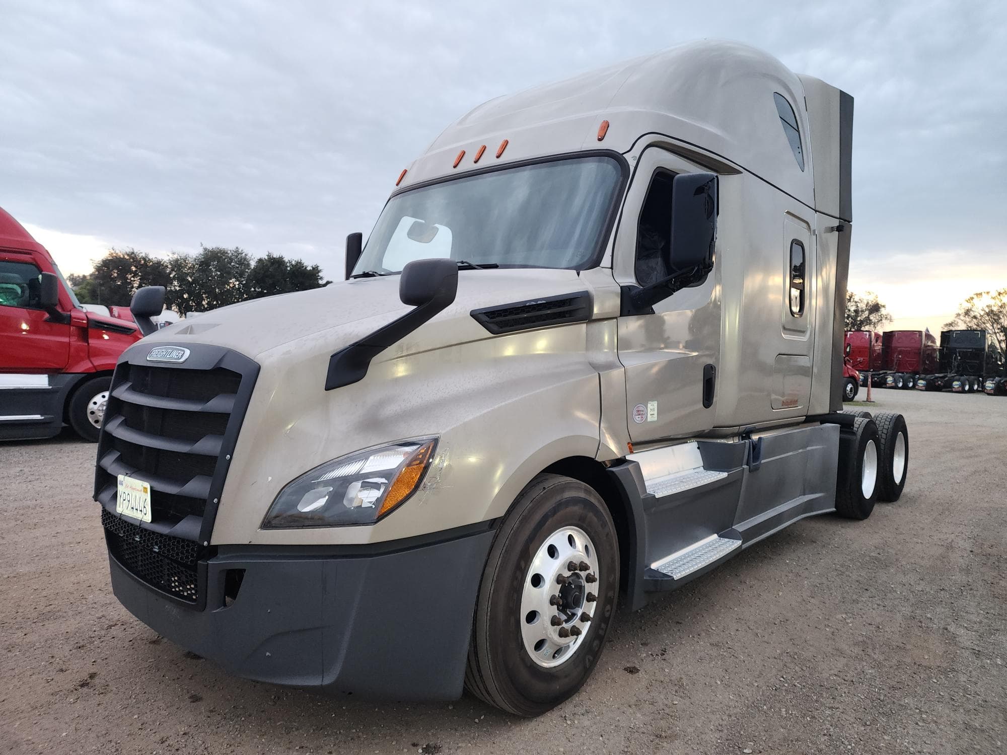 2019 FREIGHTLINER CASCADIA 126SLP