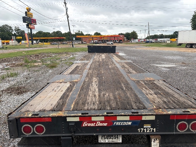 2017 Great Dane in Indianola, MS — photo 7