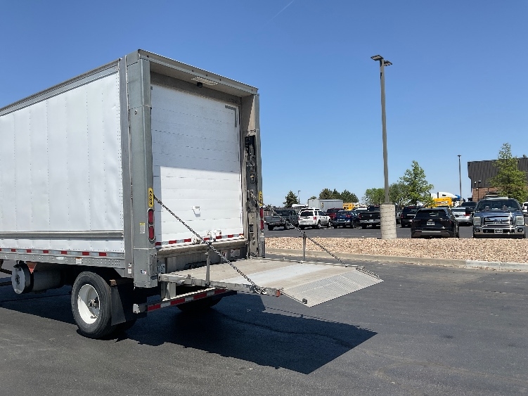 2018 Great Dane in Colorado Springs, CO — photo 7