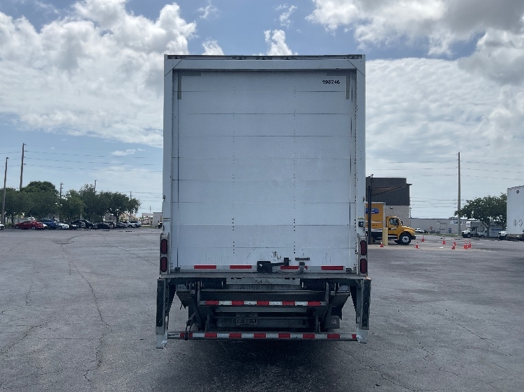 2018 Great Dane in Saint Petersburg, FL — photo 6