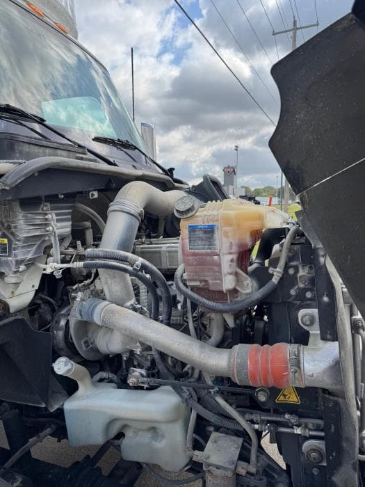 2019 International RH — photo 10