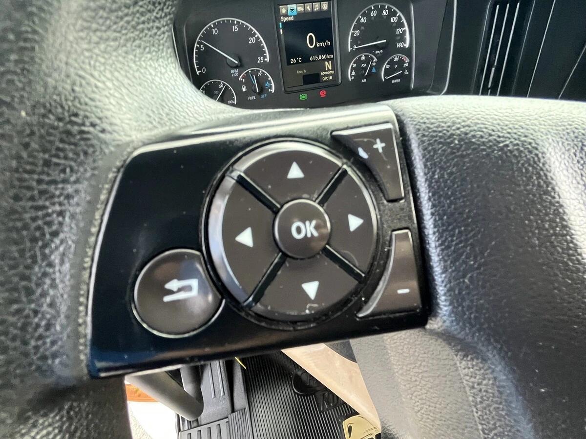 2019 Freightliner Cascadia — photo 24