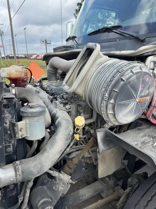 2019 International RH — photo 9