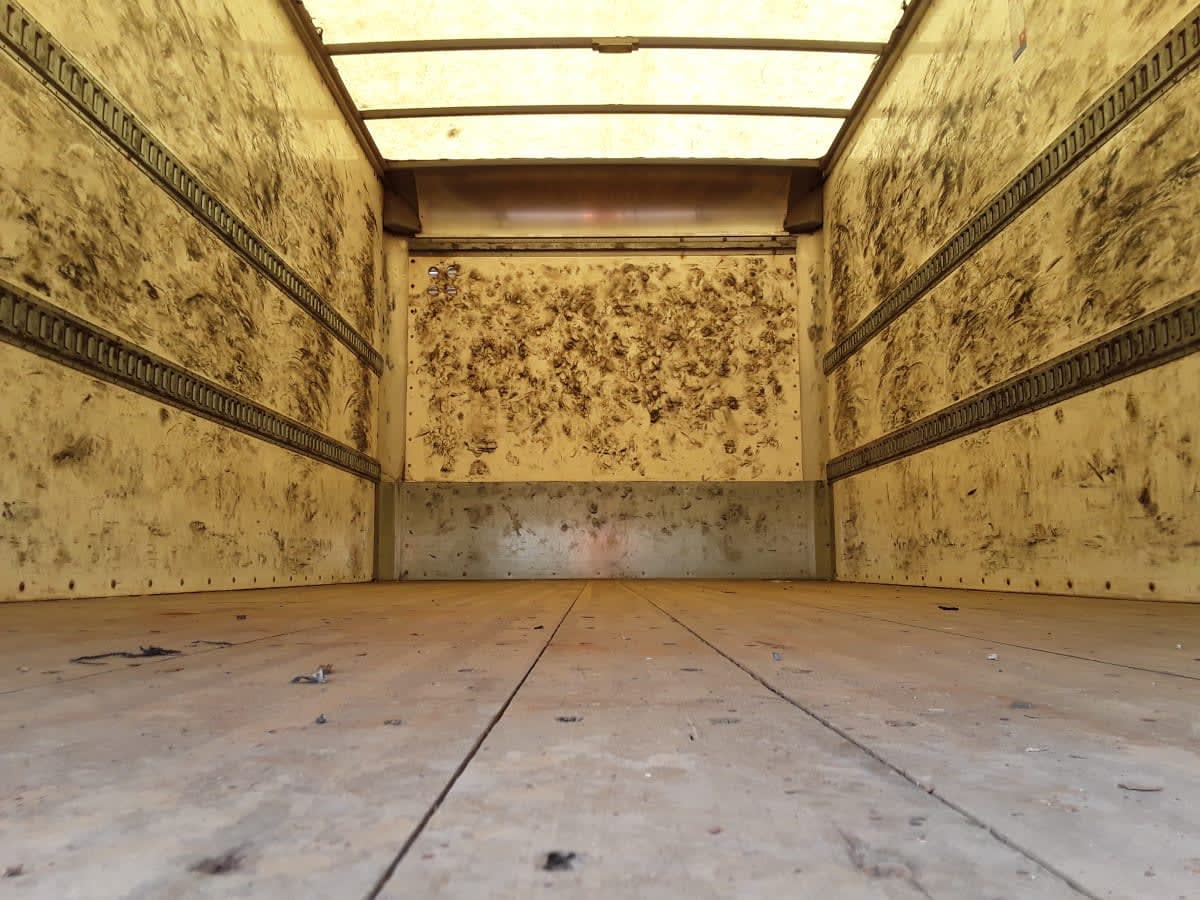 2021 International MV in Altoona, IA — photo 8