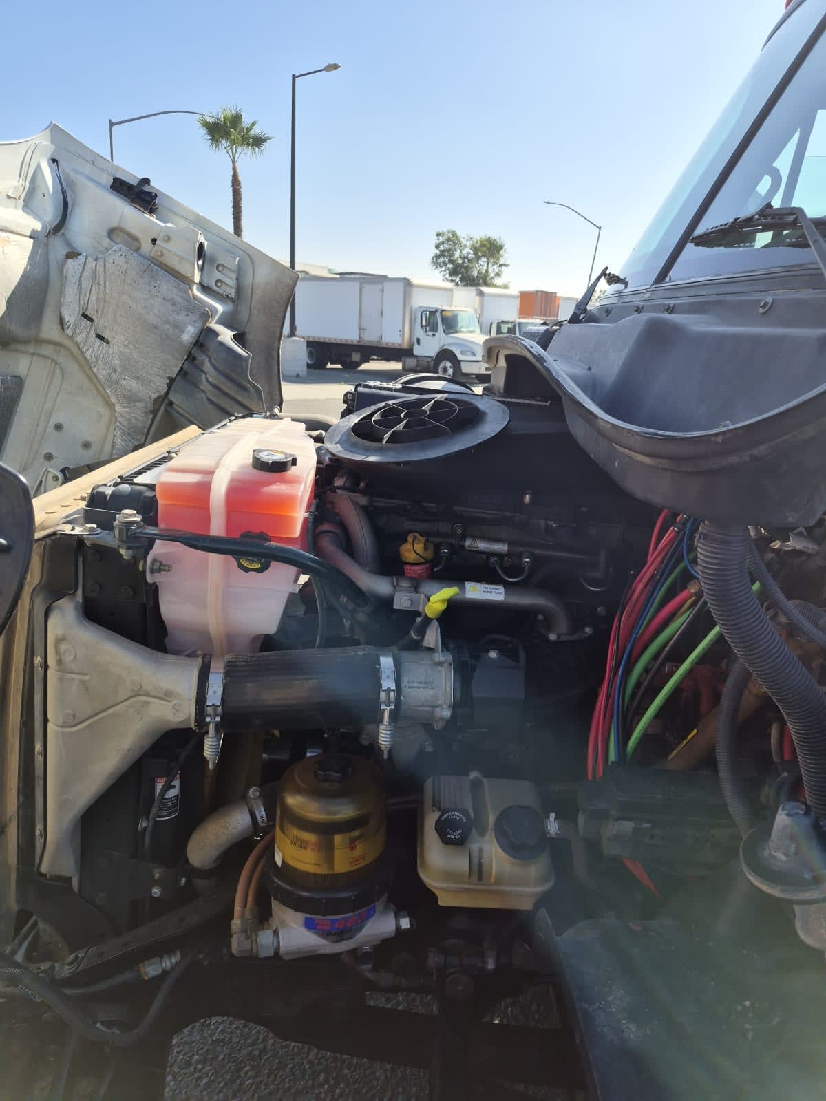 2018 Freightliner Cascadia in San Diego, CA — photo 8
