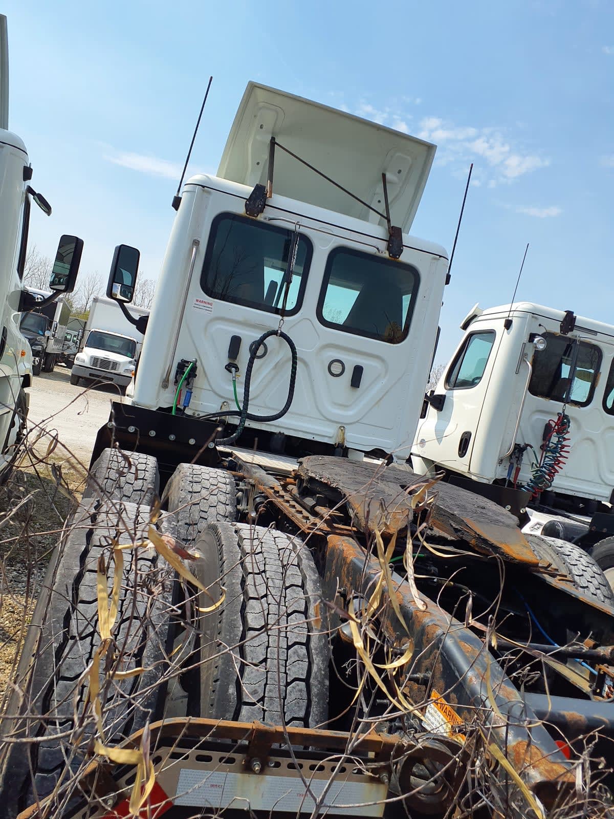 2019 Freightliner Cascadia in Indianapolis, IN — photo 5