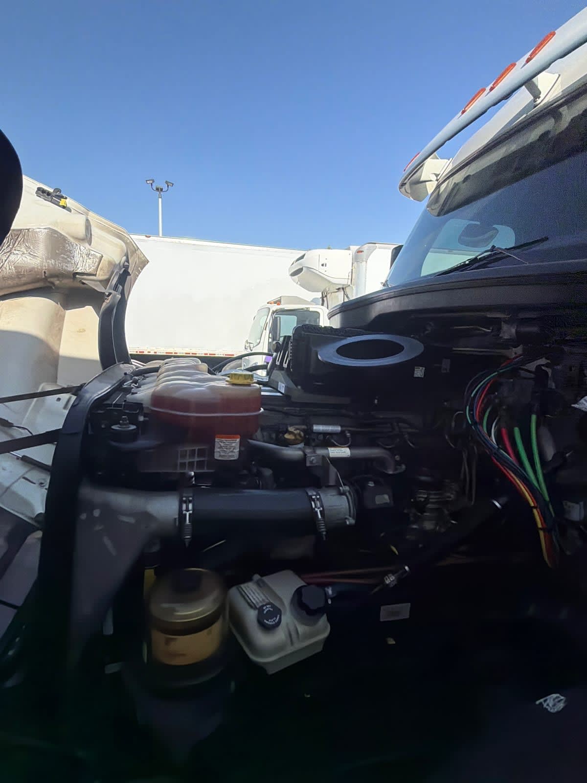 2019 Freightliner Cascadia in Pomona, CA — photo 9