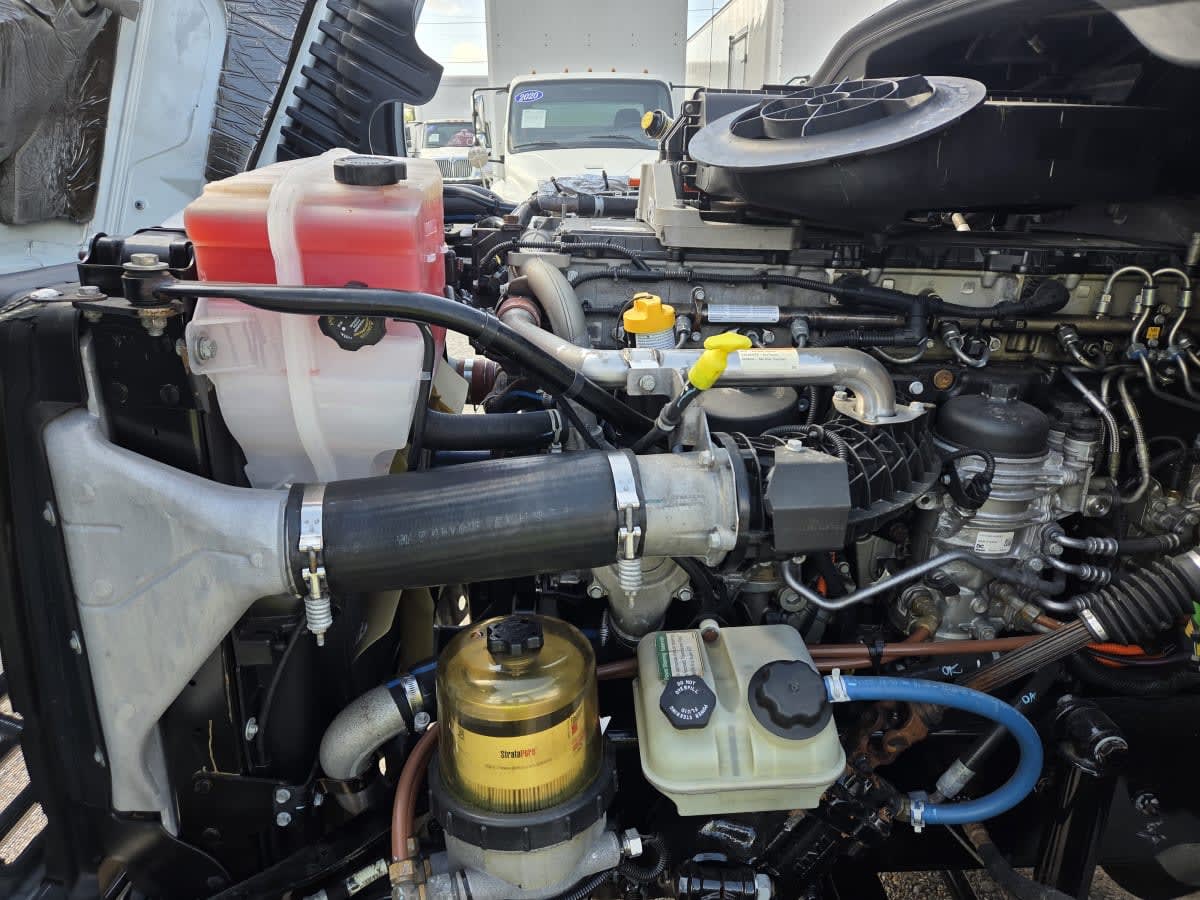 2019 Freightliner Cascadia in St. Rose, LA — photo 8