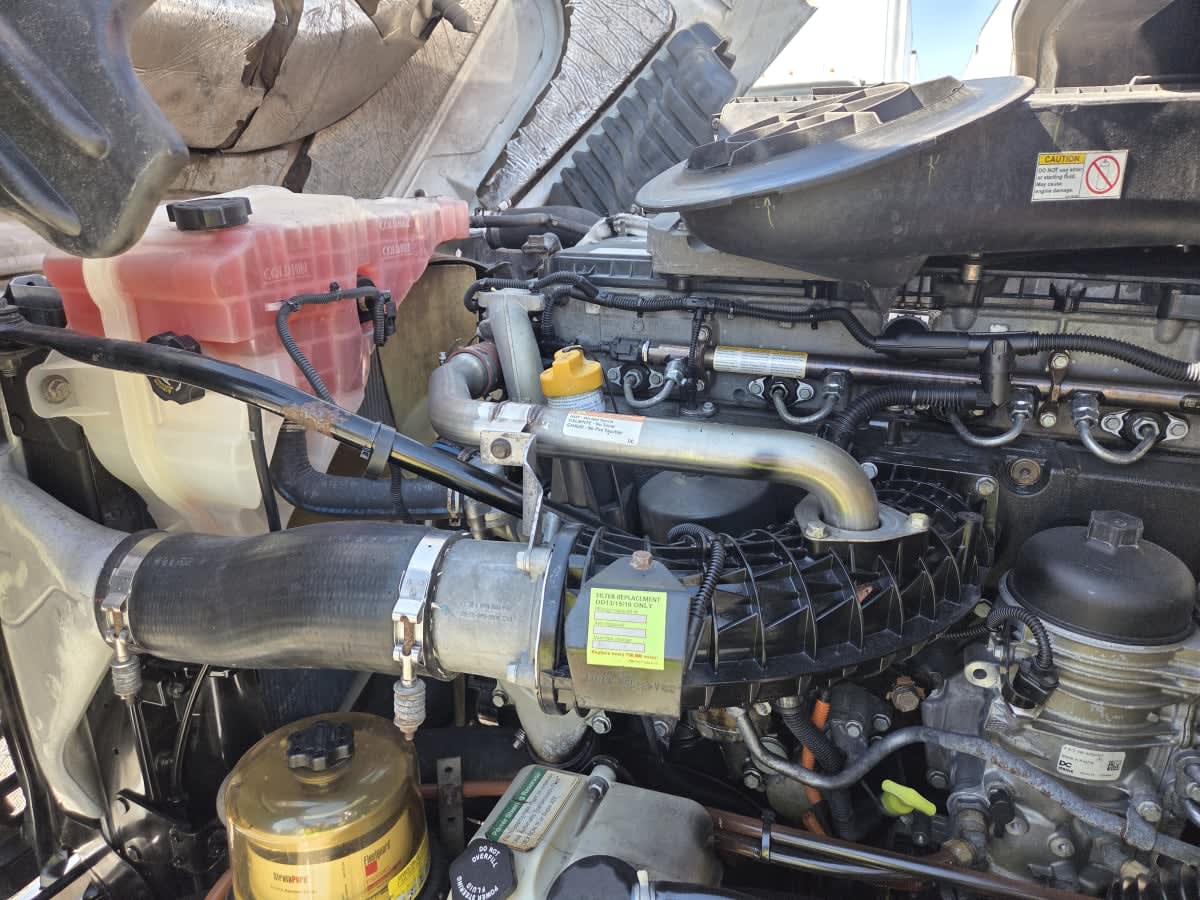 2019 Freightliner Cascadia in St. Rose, LA — photo 9