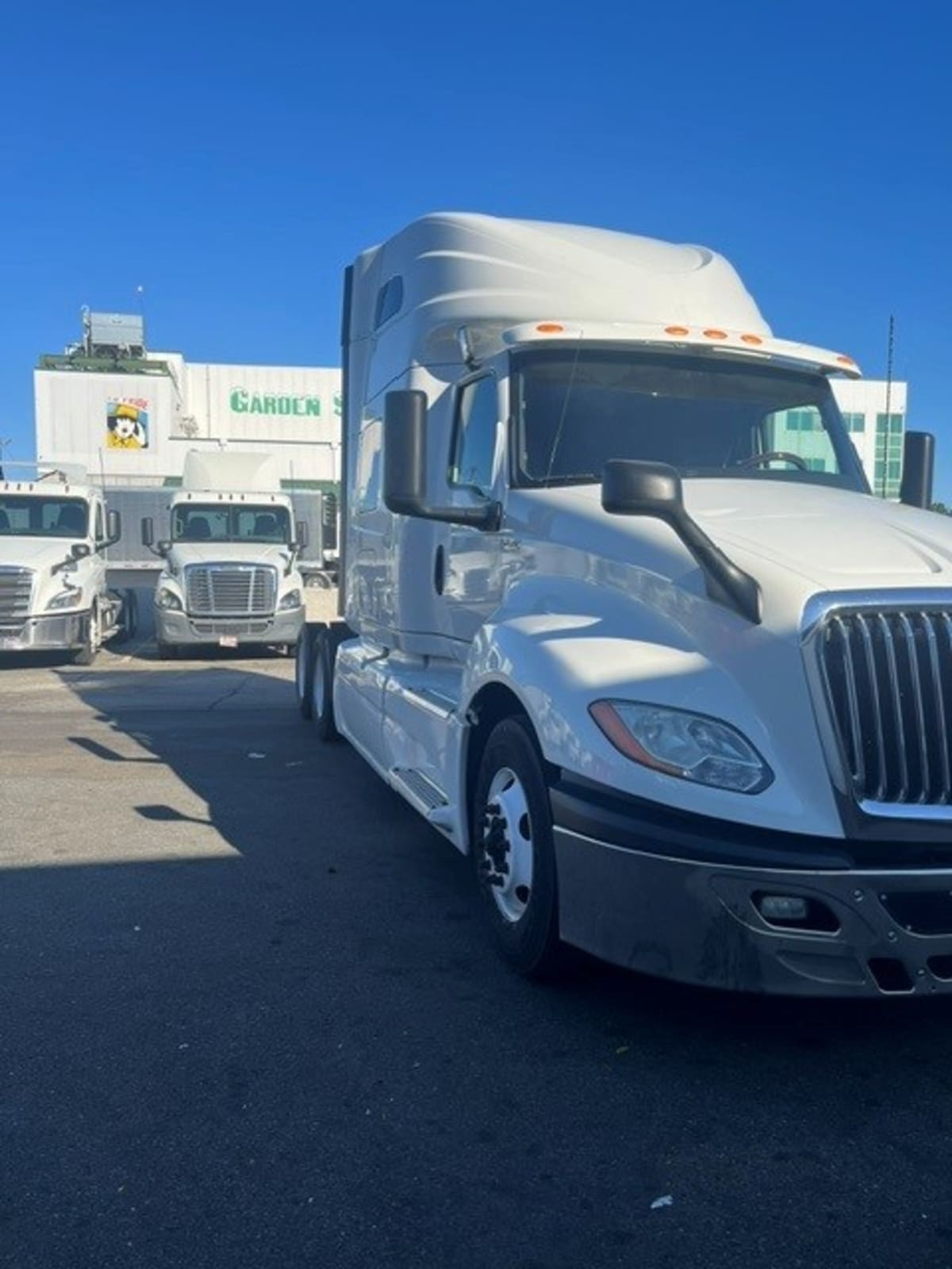 2019 International LT