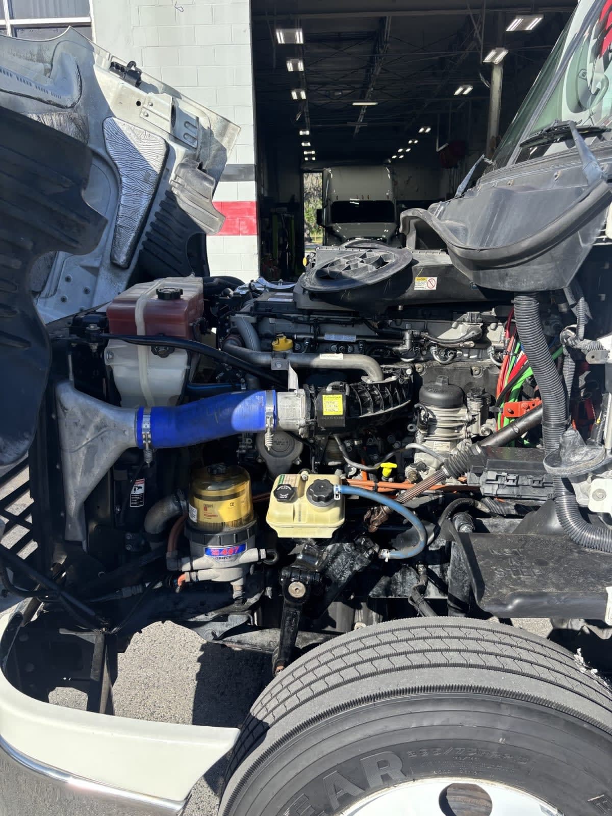 2019 Freightliner Cascadia in Jacksonville, FL — photo 10