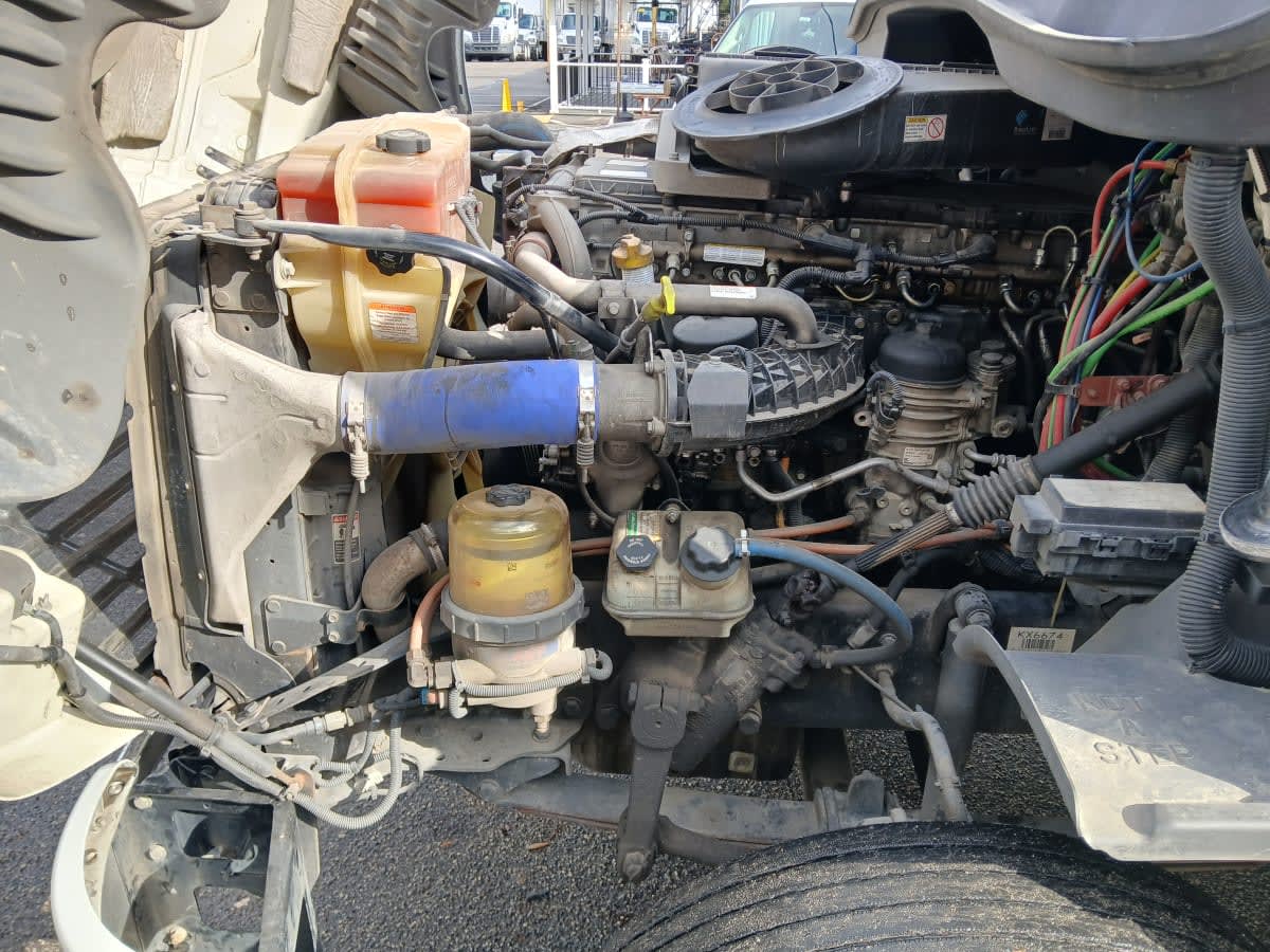 2019 Freightliner Cascadia in Jacksonville, FL — photo 8