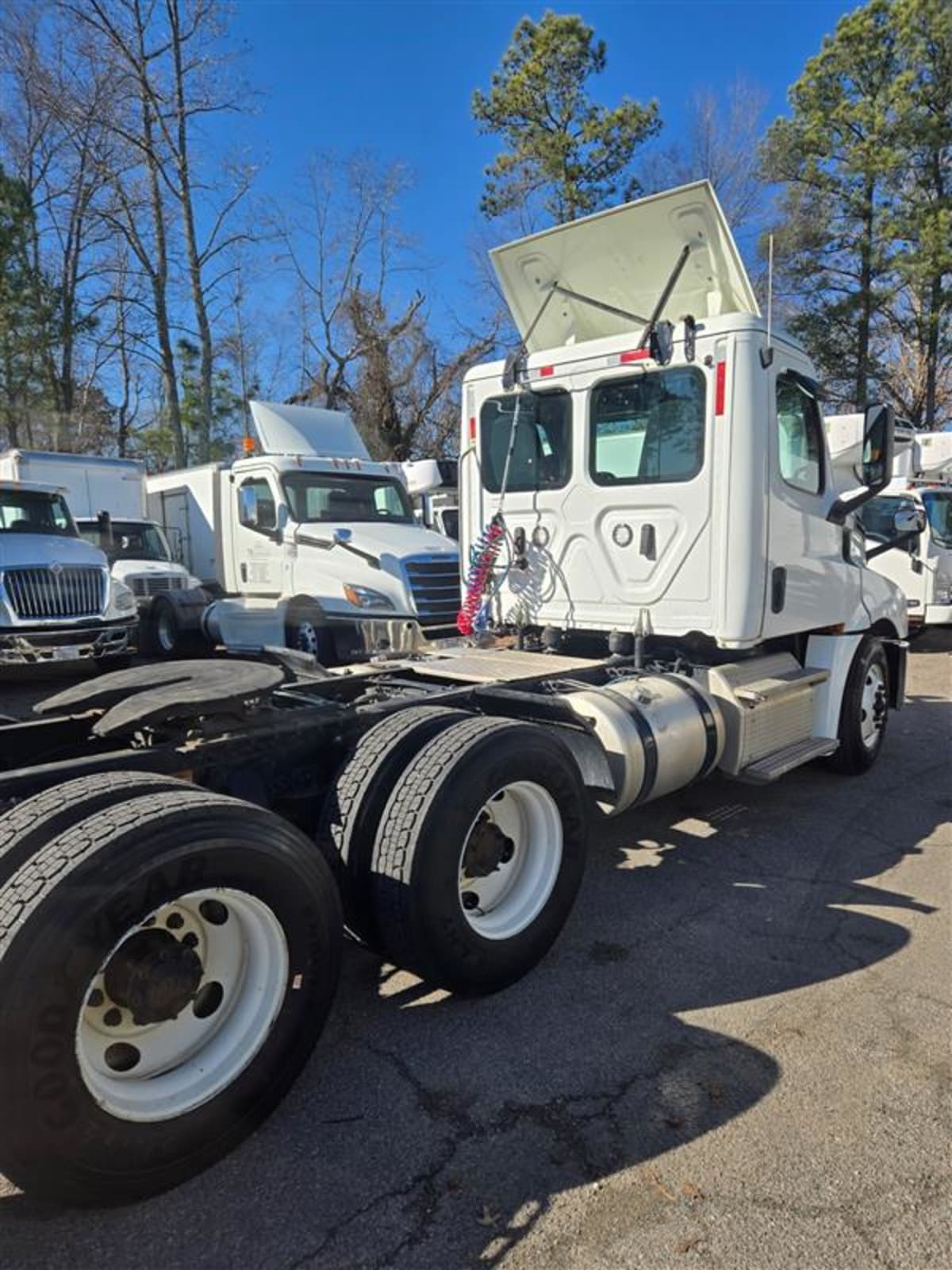 2019 Freightliner Cascadia in Ashland, VA — photo 4
