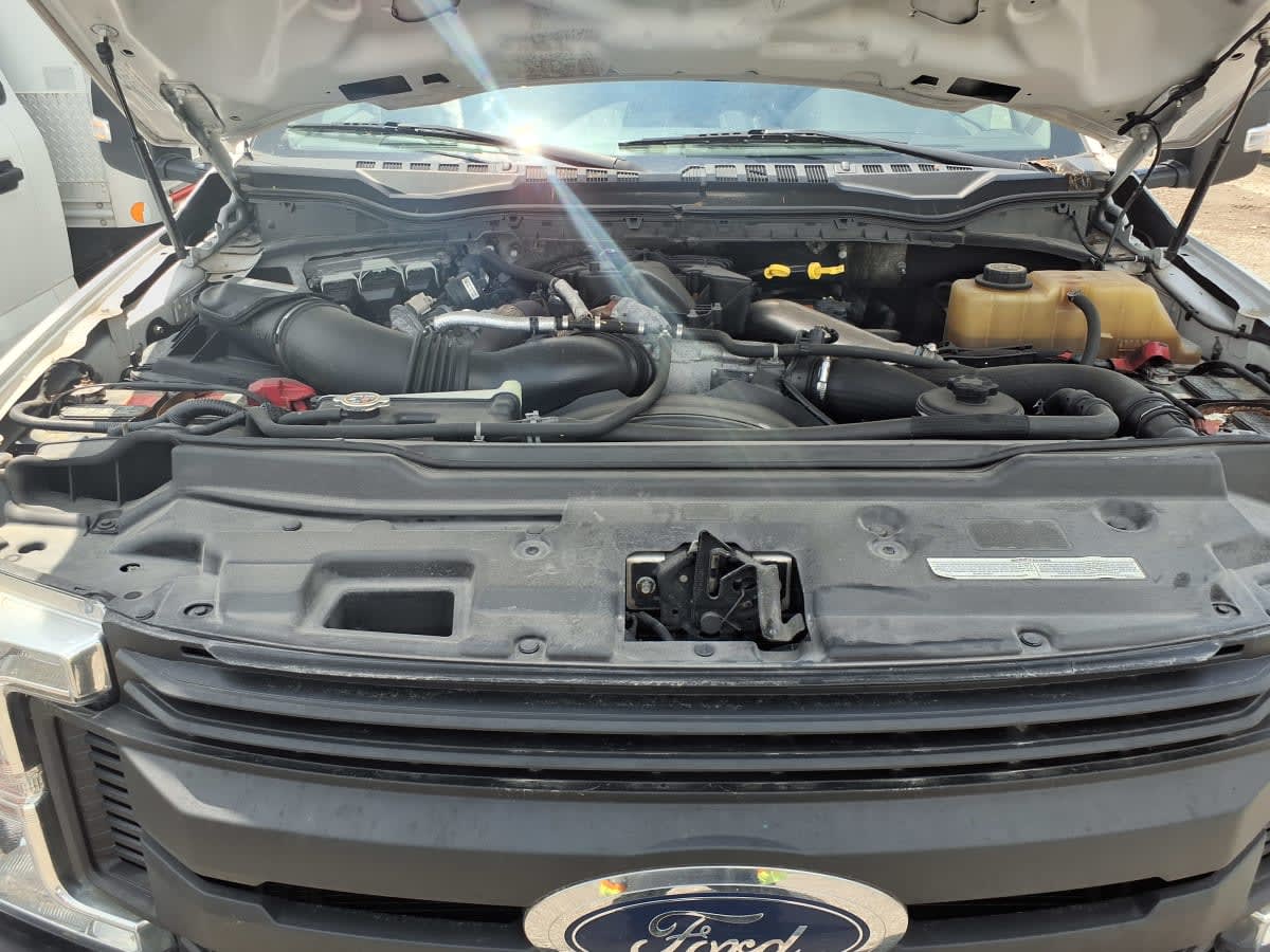 2019 Ford in Taylor, MI — photo 9