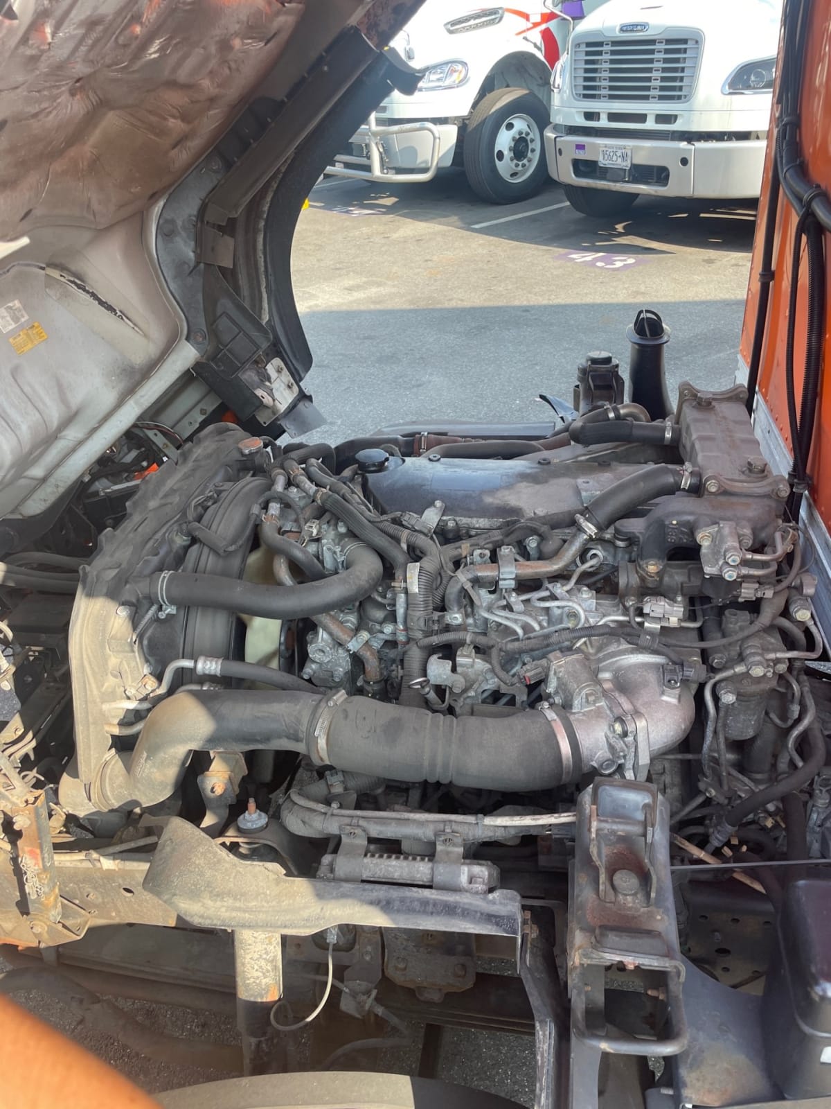 2019 Isuzu NQR in Farmingdale, NY — photo 10