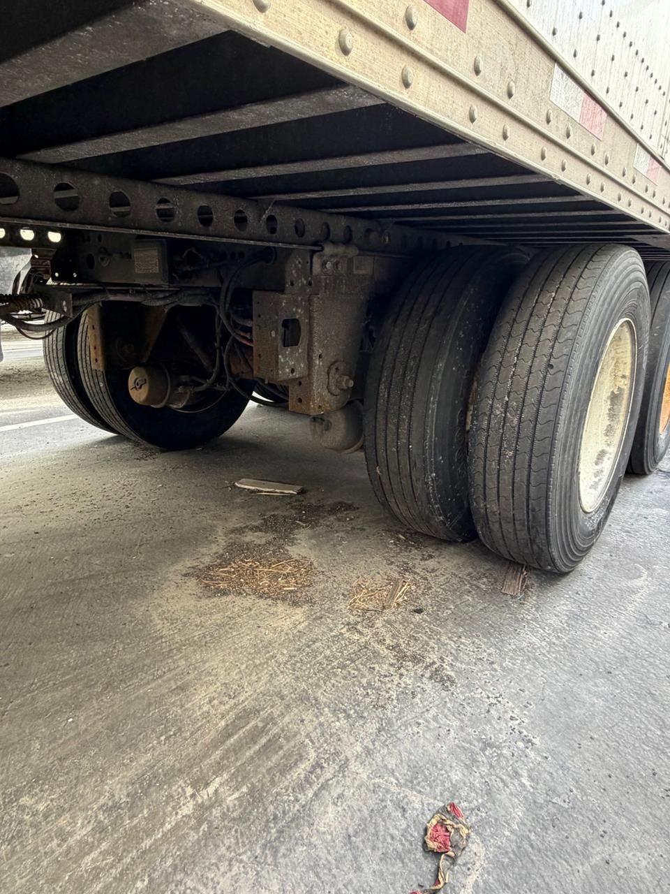 2019 Hyundai Translead — photo 5